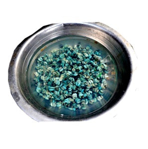 Periwinkle - No Shell ~70 g