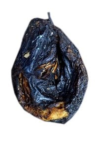 Shiny Nose Fish x1 (Dried Fish)