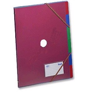 Rexel 6 Part East Ice Organiser