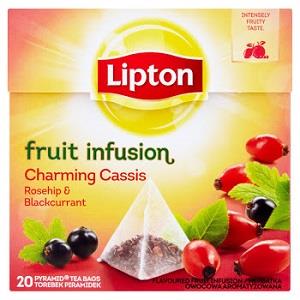 Lipton Fruit Infusion Rosehip & Blackcurrant 50 g x20
