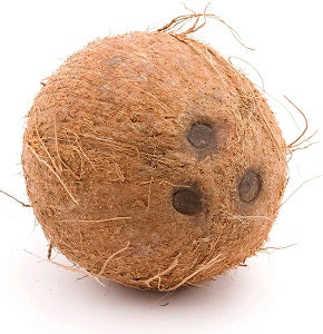 Coconut x12