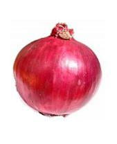 Onions - Red - Big Bowl