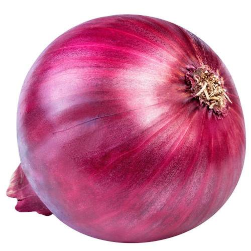 Onions - Red - Big Bowl