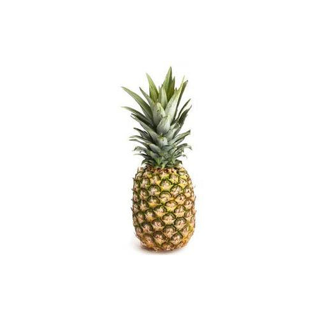 Pineapple - Bendel x12