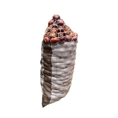 Onions - Full Bag