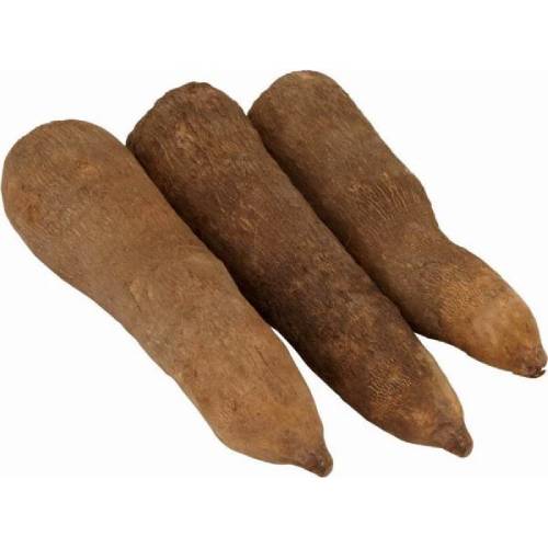 Three brown yams on a white background