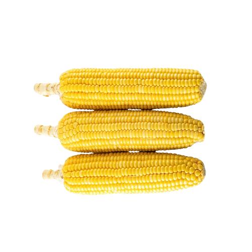 Corn On The Cob - Peeled (Raw) x7