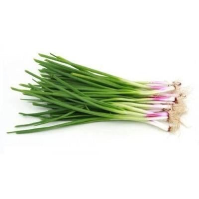 Spring Onions ~1.5 kg