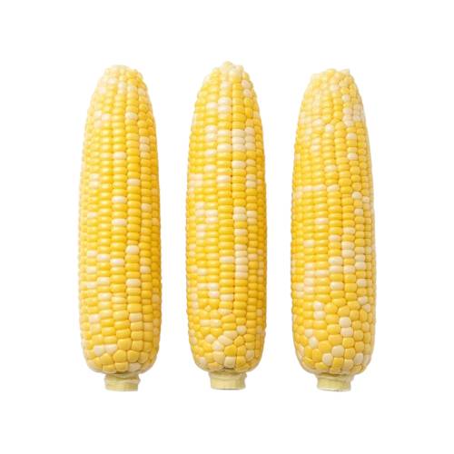 Sweet Corn x3