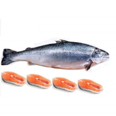 Whole Fresh Salmon ~1.8 kg