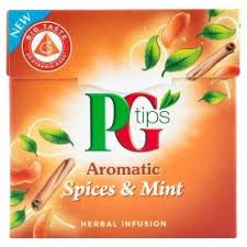 PG Tips Aromatic Spices & Mint Tea 40 g x20 x4