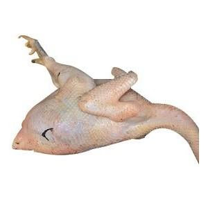 Chicken - Agric Medium - Cut Up