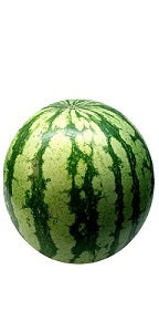 Watermelon - Medium