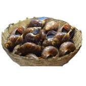 Snails - Large x20 (Fresh)