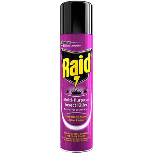 Raid Insect Killer 300 ml