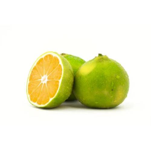 Tangerine - Local x5