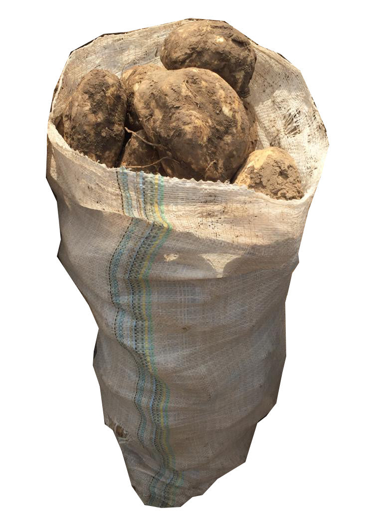 Sweet Potato - Half Bag