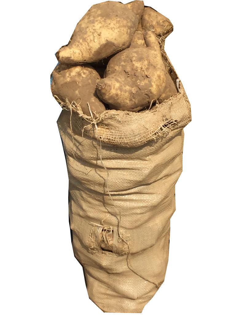 Sweet Potato - Quarter Bag