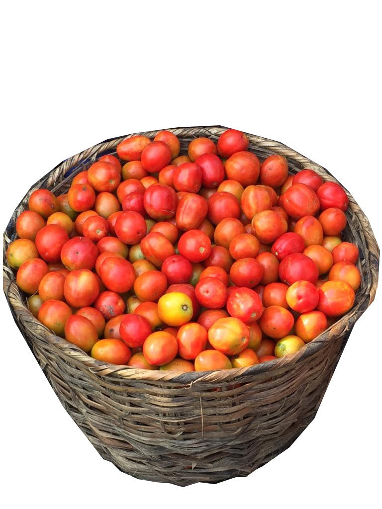Tomatoes (Round Seed) - Big Basket