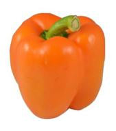 Pepper - Orange x6
