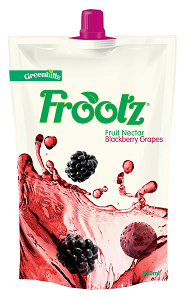 Frootz Fruit Nectar Blackberry Grapes 25 cl