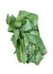 Okazi Leaf (Afang) - Cut Up