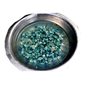 Periwinkle - No Shell ~70 g