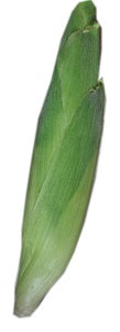 Corn On The Cob - Unpeeled (Raw) x3