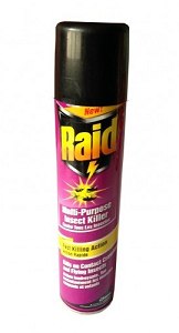 Raid Insect Killer 300 ml