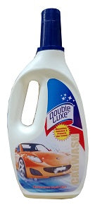 Ashley & Michaels Car Wash 1 L