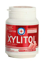 Xylitol Rasa Stroberi Mint 48 g