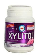 Xylitol Rasa Bluberi Mint 48 g