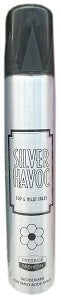 Silver Havoc Deodorant Body Spray Day & Night 100 ml