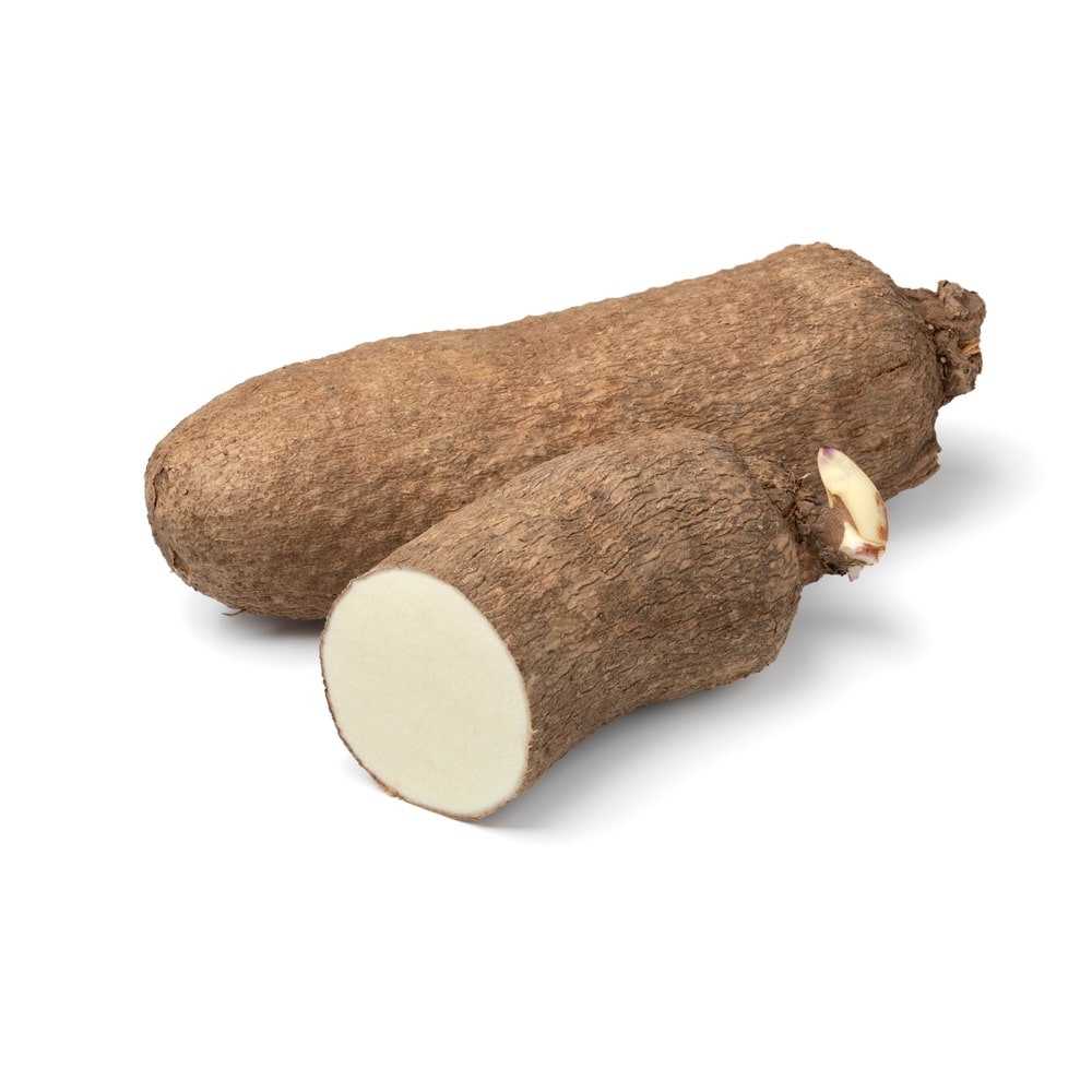 Yam - Medium