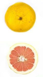 Grapefruit - Red x5