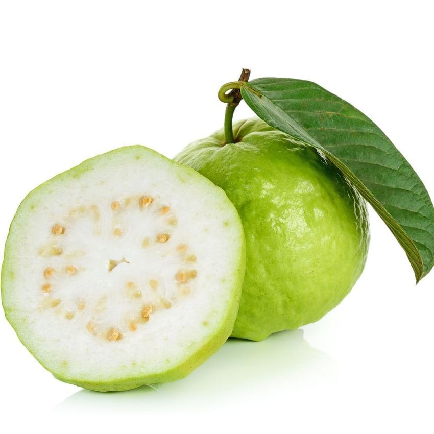 Guava x6