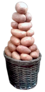 Irish Potatoes - Small Basket ~2.5 kg