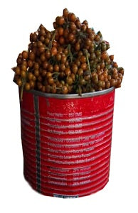 Uziza Seed ~850 g