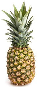 Pineapple - Bendel x12