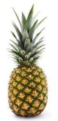 Pineapple - Bendel x6