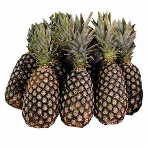 Pineapple - Cotonou x6