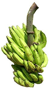 Banana - Unripe Bundle - Igbo