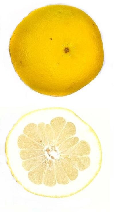 Buy Grapefruit White x12 (Local) in Nigeria Buy In Bulk