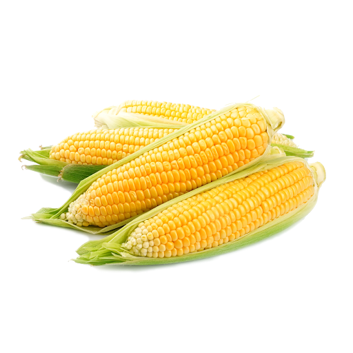 Corn ~~50 kg Bag