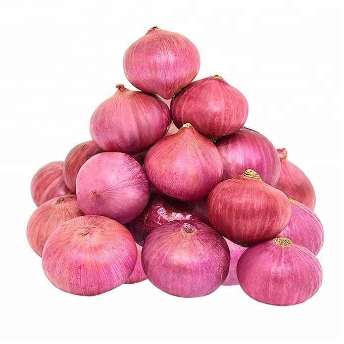 Onions - Red - Small Bowl