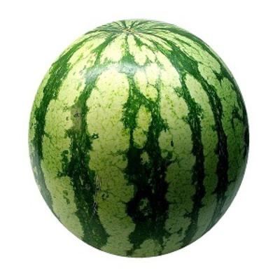 Watermelon - Large x6