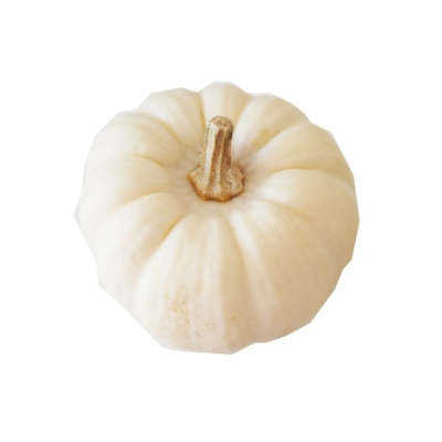 Pumpkin - White x3