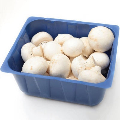 White Mushroom Pack