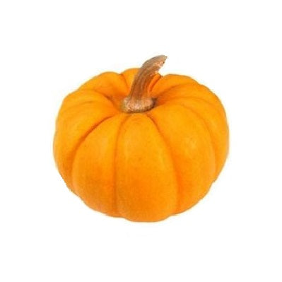 Pumpkin - Red x5