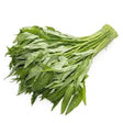 Bunch of fresh green leaves on a white background